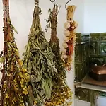 Ostoja