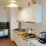 Ostoja