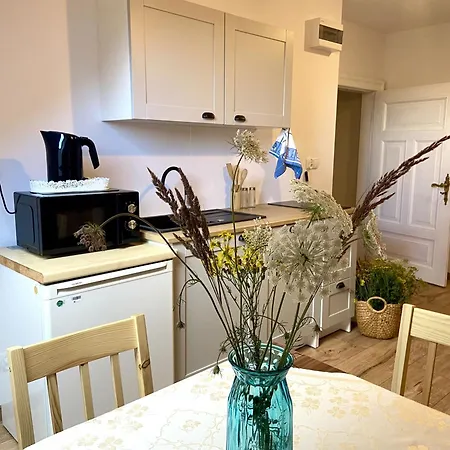 Ostoja 미에드지보드지