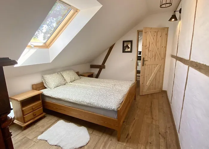 Ostoja * 미에드지보드지