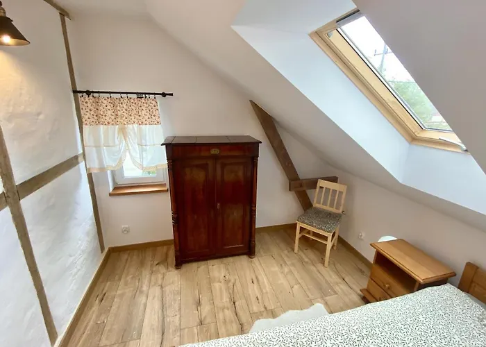 Ostoja 미에드지보드지